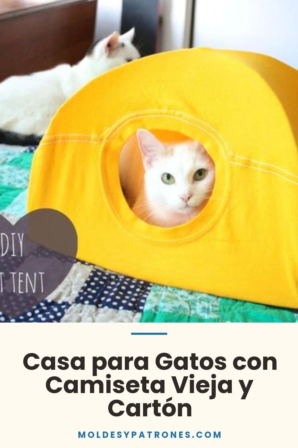 Casa para Gatos con Camiseta Vieja y Cartón