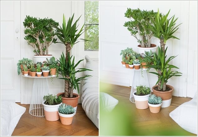 decorar hogar con plantas 4