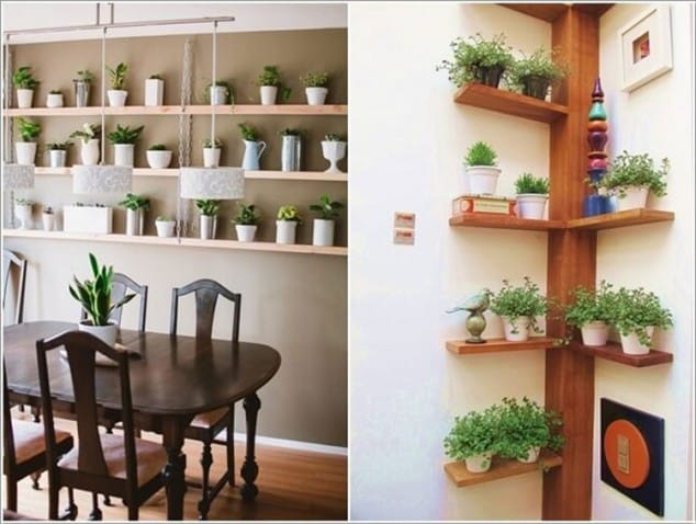 decorar hogar con plantas 7