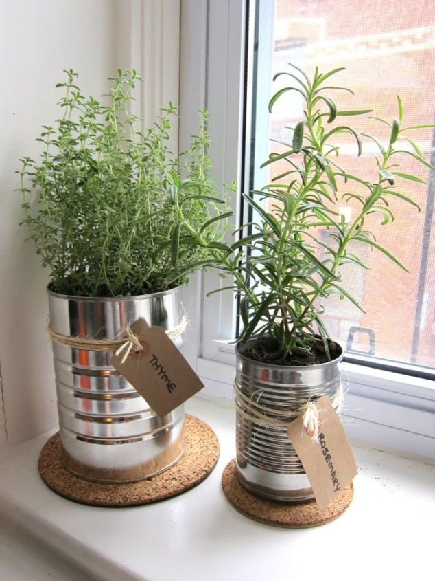 decorar hogar con plantas 8