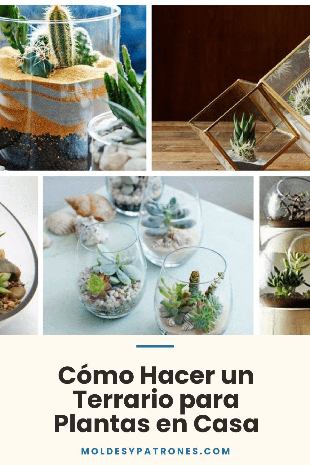 Cómo Hacer un Terrario para Plantas en Casa