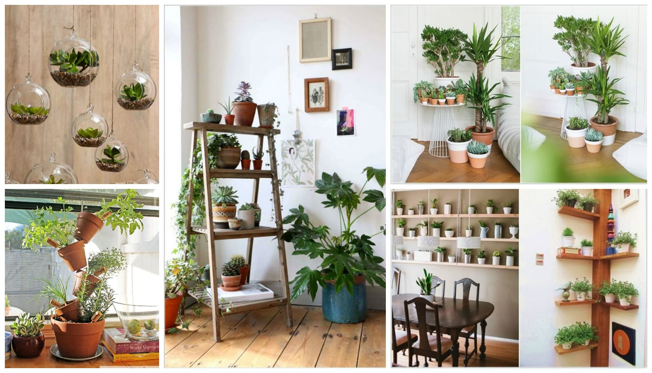 ideas decorar hogar con plantas