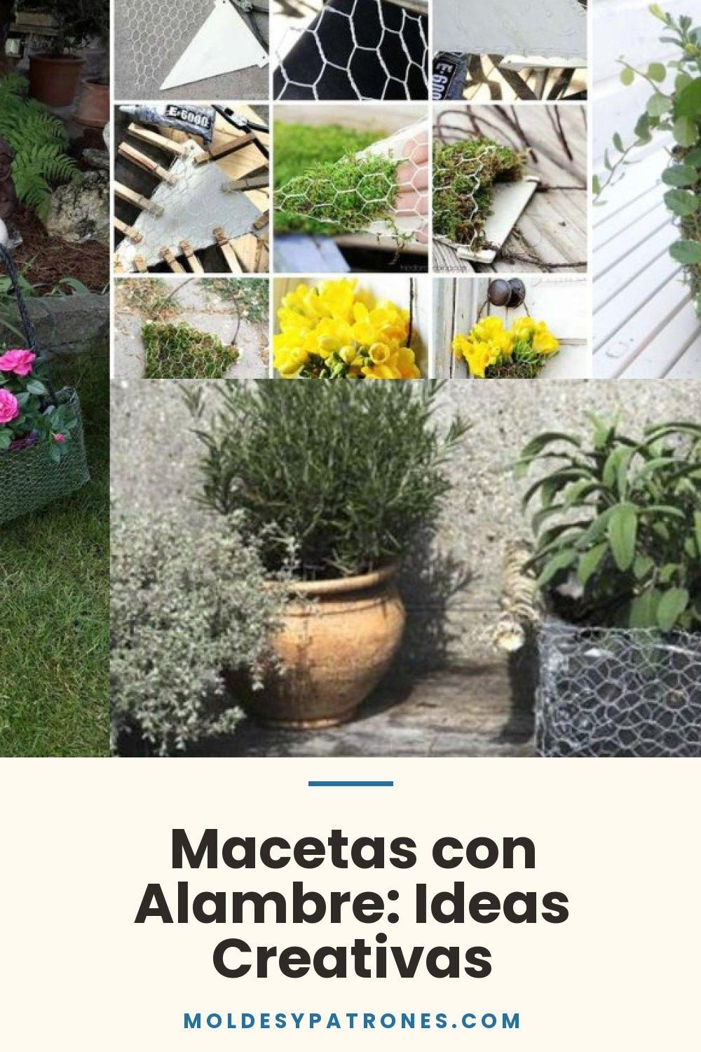 Macetas con Alambre: Ideas Creativas
