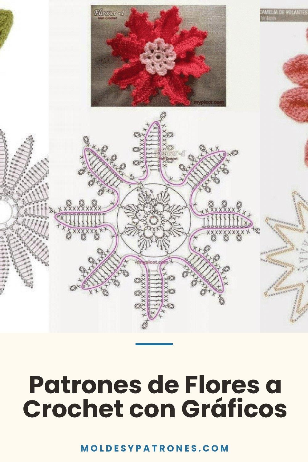 Patrones de Flores a Crochet con Gráficos