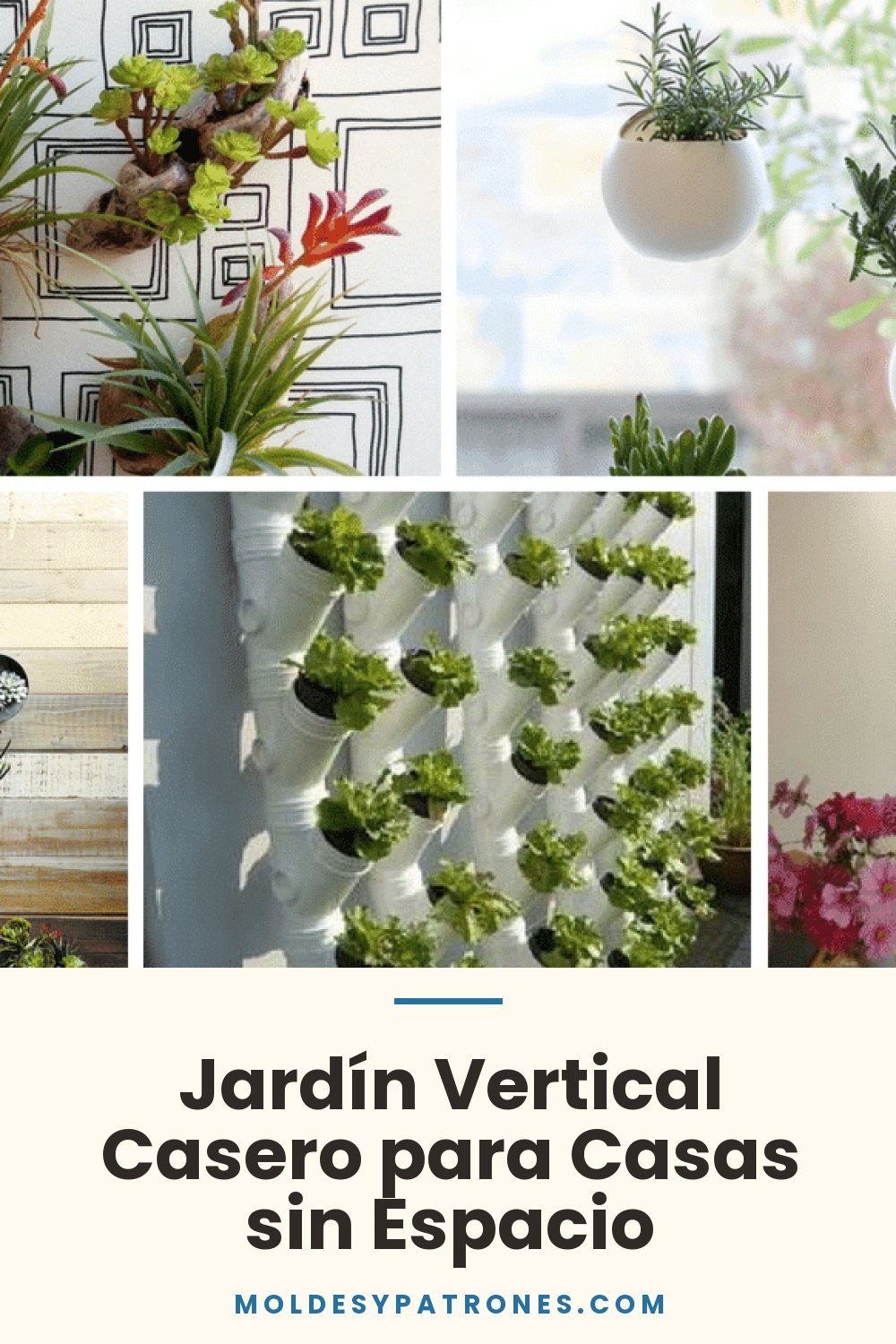Jardín Vertical Casero para Casas sin Espacio